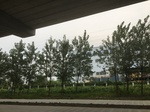 2017-09-12_05-01-01_DA524061-57DE-4B27-A8EA-C6CE8017EF67.jpg
