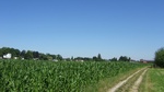 2016-07-25_03-26-55_DSCF1483.JPG