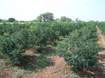 1768622042008(66).JPG
