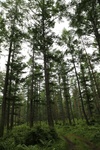 2018-04-14_14-44-48_2017-06-26 20.35.23.jpg
