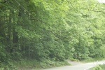 2022-06-11_17-54-43_8ABE6F17-C21F-44AE-9233-506329331CDD.jpeg