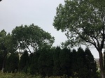 2017-09-10_08-39-57_713890EF-ED2D-4FE2-BA5B-7ACCC11B2AC1.jpg