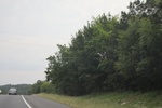 2022-06-12_15-03-26_F13CA33E-06F8-419E-8BA6-F0453B3FB958.jpeg