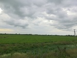 56038CIMG6727.JPG