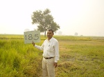 6748gt185-cropland-1.jpg