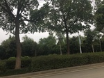 2017-09-10_10-11-11_94A192D3-9333-4DB3-89E9-5840D620C4F6.jpg