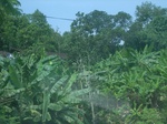 2012-09-08_18-23-58_RIMG0083.JPG