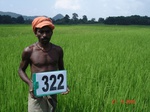 74730323c-irrigated-canal-rice-doublecrop.jpg