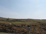 9367gt061b-wasteland-rangeland.gif