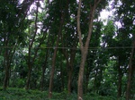 547811052008(48).JPG
