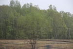 2017-05-12_17-07-56_2017-05-04 21.37.33.jpg