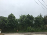 2017-09-10_20-39-01_6093B033-DB3B-402B-85F3-B18A631870E6.jpg