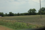 2022-06-11_17-39-30_03705F13-B875-4AD1-B24B-375FD9C3259E.jpeg
