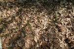 316IMG_3425.JPG