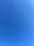2020-11-02_15-39-55_2020-10-31-15-4-2.jpg