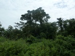 20039P1010890.JPG