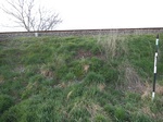 2018-04-09_15-08-28_DSCF1716.JPG
