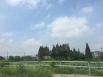 2017-09-12_12-33-19_927D5F75-2B89-432C-8CBE-BEA12A039EB5.jpg