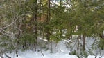 2017-03-02_15-14-39_Feb17-212-ME.jpg