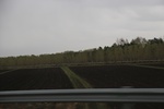 2017-05-12_17-38-14_2017-05-05 19.05.43.jpg