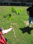 8722IMG_3889.JPG