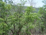 1791827042008(50).JPG