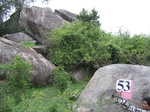 1192553-forest-rocky-outcrop-b.gif