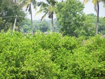 1773923042008(28).JPG