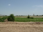 19202P1010048.JPG