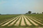 2022-06-11_17-39-29_AE47822D-920D-41AD-876F-41EDF055BB44.jpeg