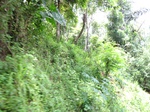 15257IMG_4079.JPG
