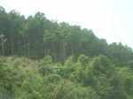 2012-09-08_20-00-41_RIMG0090.JPG