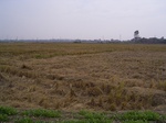 3272R0017306.JPG