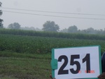 128990251c-irrigated-rainfed-agriculture-groundwater-sugarcane-dominant-cotton.gif
