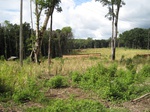 14194IMG_4533.JPG