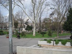 5938DSC05221.JPG