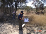 10964gt-173-wetland-very-dry-stream-bed-02.jpg