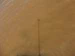 2012-09-21_14-25-33_CIMG3216.JPG