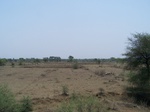 531501052008(62).JPG