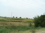 483602052008(32).JPG