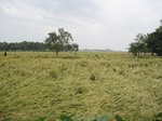 15723IMG_4806.JPG