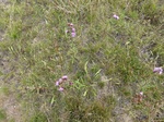 2012-09-19_23-19-33_ME-YK-22-3.jpg