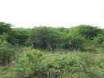 17340100_2026.JPG