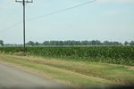 2022-06-11_15-46-10_B832003E-078C-44DF-AC65-C09856FA5CD2.jpeg
