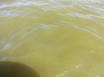 2012-09-21_14-26-18_CIMG0092.JPG