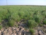 440220071010gps 053.jpg