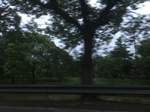 2017-09-12_03-26-13_F91FDA7E-C53F-47B9-9F35-B0F8D96AD8ED.jpg