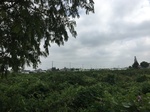2017-09-12_12-56-04_5EFE02A7-97DA-4E15-95D0-79EE31BED8D3.jpg