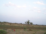 1684802052008(109).JPG