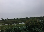 2017-09-11_22-17-22_63117ED0-5675-4982-9C2E-523570B757AD.jpg
